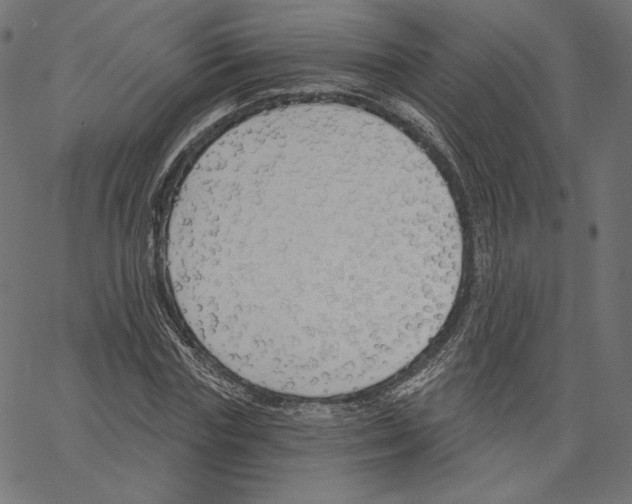 X0000067490827200604281515