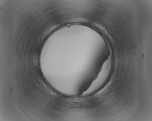 X0000067490833200604281515