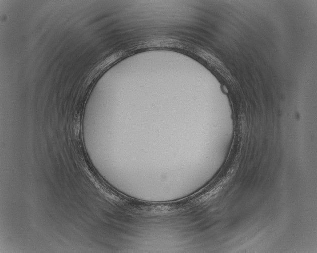 X0000067490841200604281515