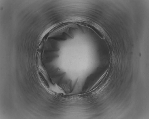 X0000067490842200604281515