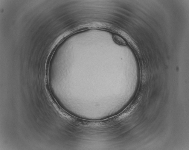X0000067490845200604281515