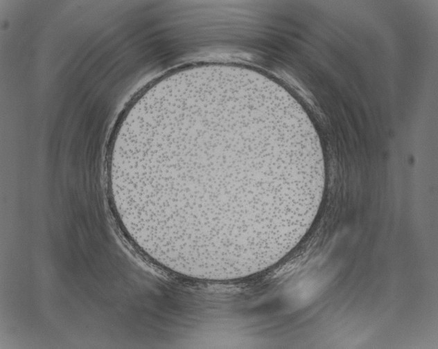 X0000067490848200604281515