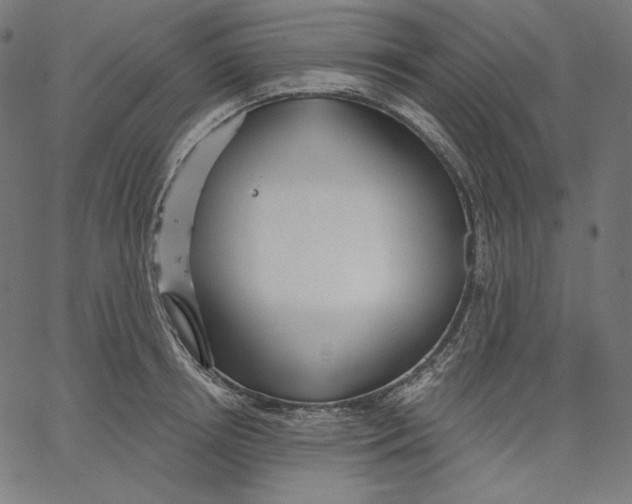 X0000067490850200604281515
