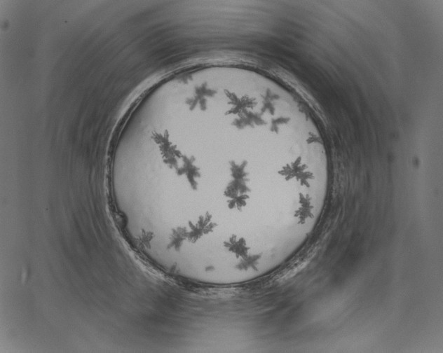 X0000067490853200604281515