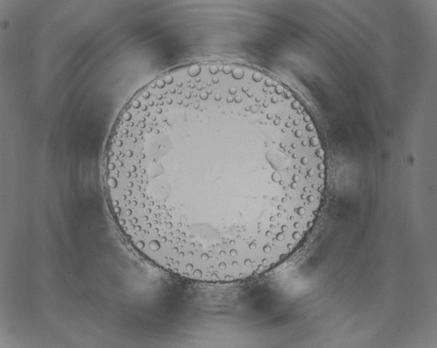 X0000067490856200604281515