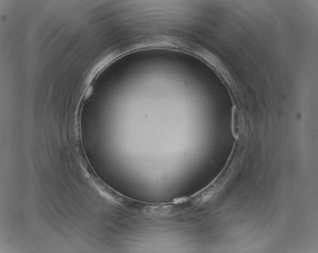 X0000067490858200604281515