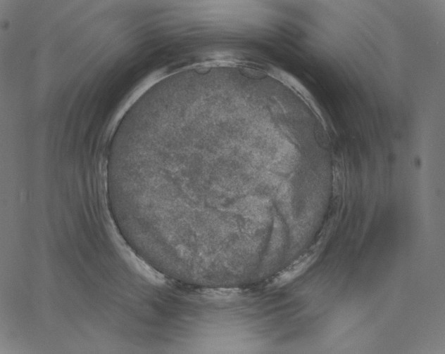 X0000067490859200604281515