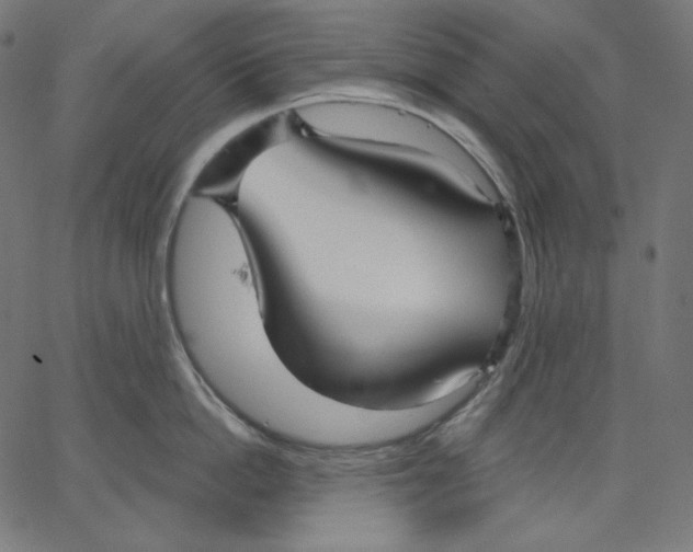 X0000067490862200604281515