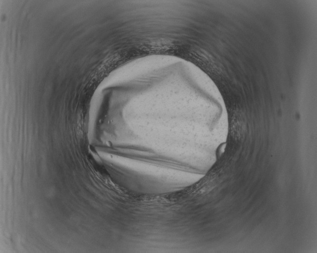 X0000067490866200604281514