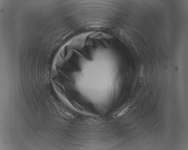 X0000067490868200604281514
