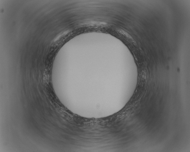 X0000067490869200604281514