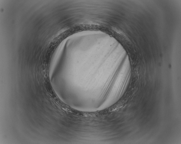 X0000067490870200604281514