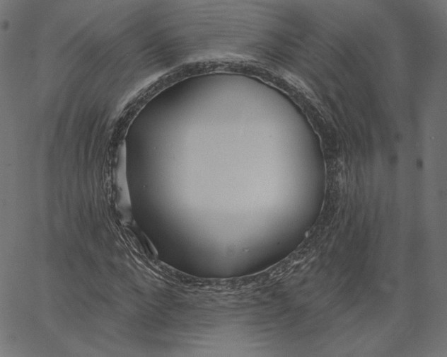 X0000067490872200604281514