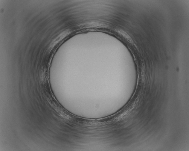 X0000067490873200604281514