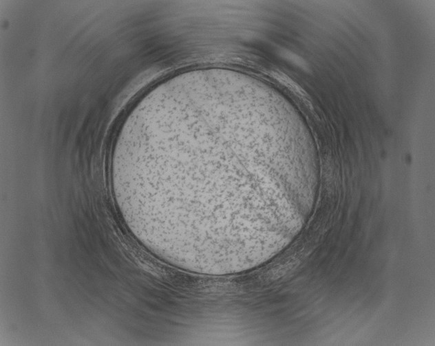 X0000067490886200604281514