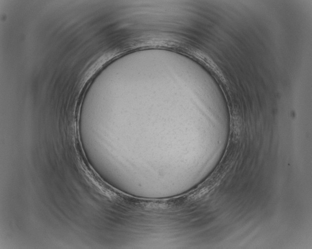 X0000067490890200604281514