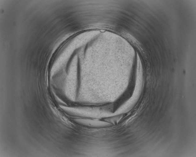 X0000067490892200604281514
