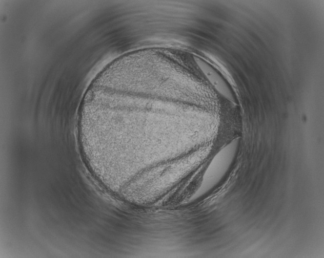 X0000067490899200604281514