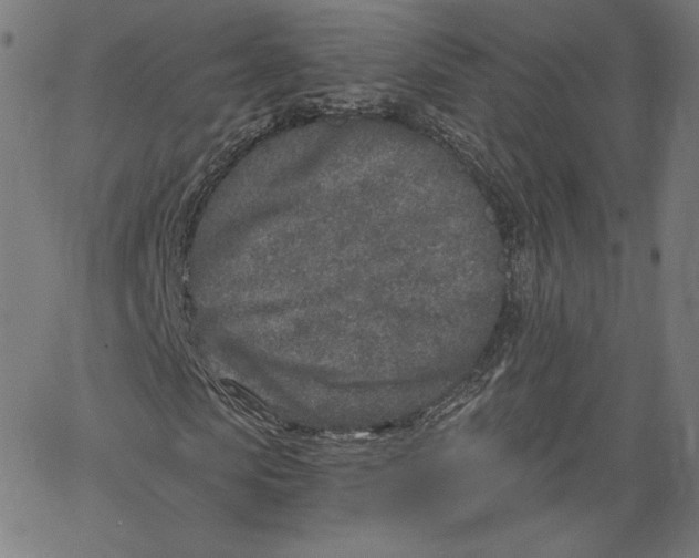 X0000067490913200604281513