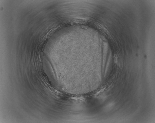 X0000067490915200604281513
