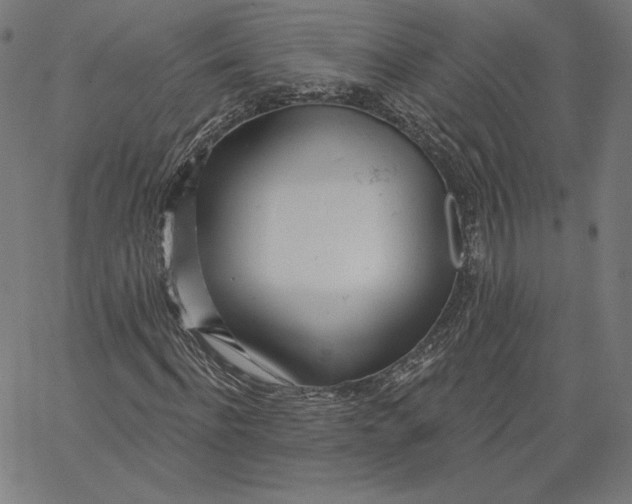 X0000067490916200604281513