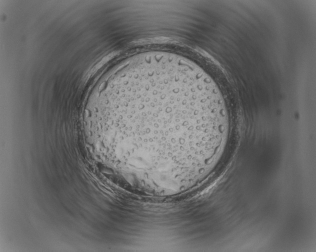 X0000067490921200604281513
