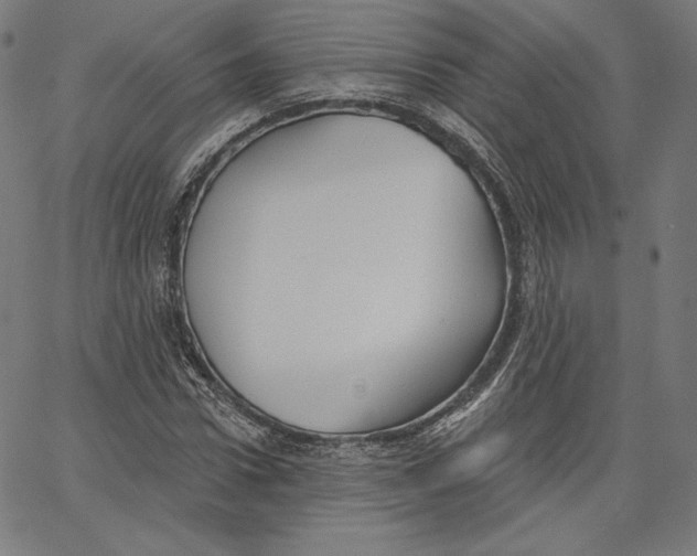 X0000067490922200604281513