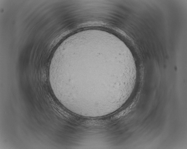 X0000067490929200604281513