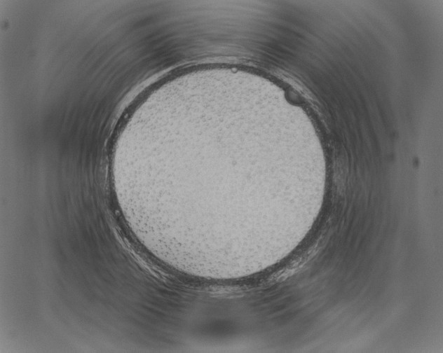 X0000067490933200604281513