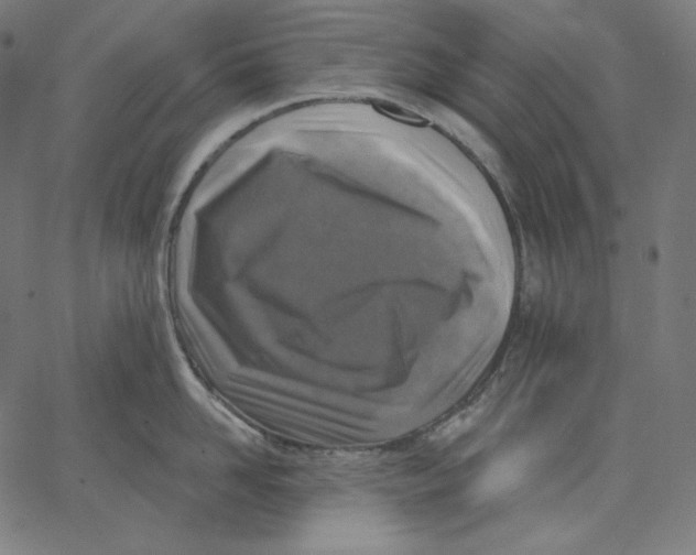 X0000067490958200604281514