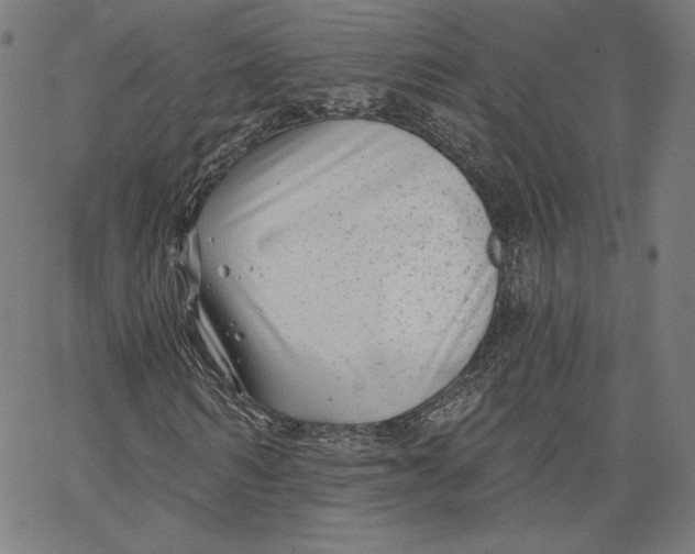 X0000067490962200604281513