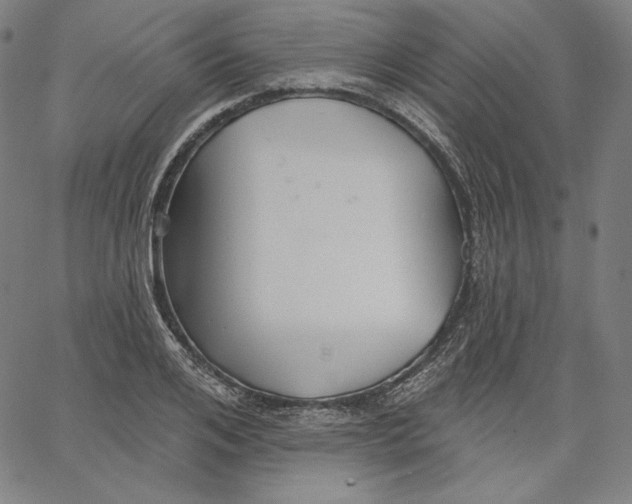 X0000067490984200604281512