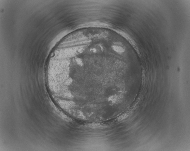 X0000067490998200604281512