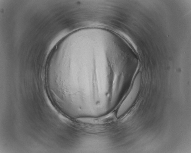 X0000067491007200604281512