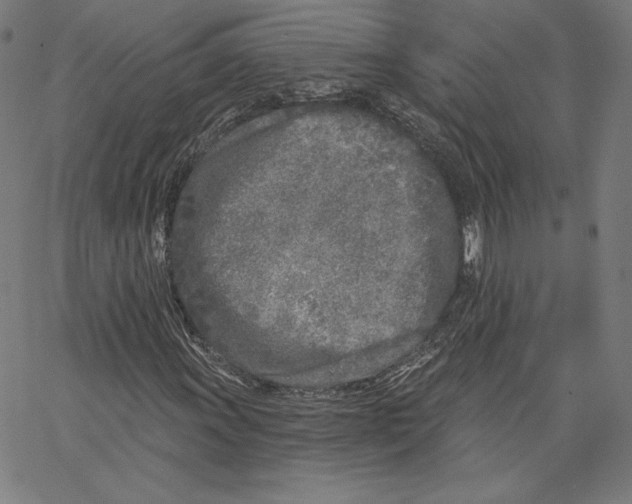 X0000067491011200604281511
