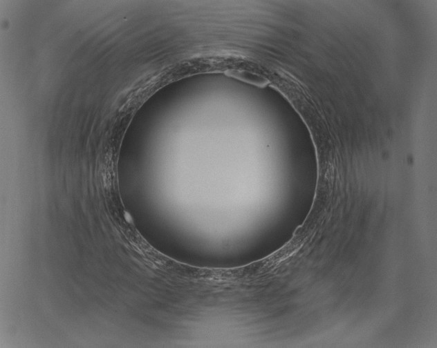 X0000067491014200604281511