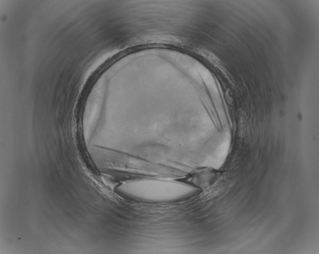 X0000067491024200604281512