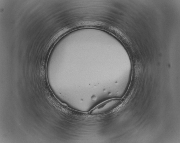 X0000067491025200604281512