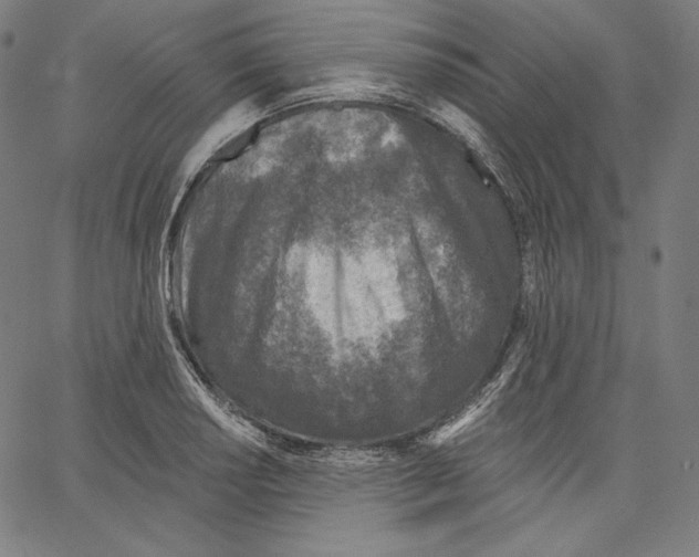 X0000067491034200604281512