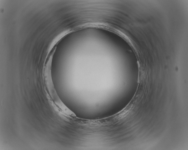 X0000067491050200604281512
