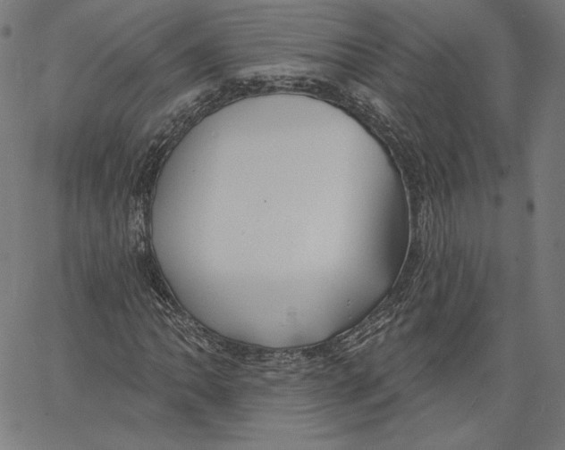 X0000067491062200604281511