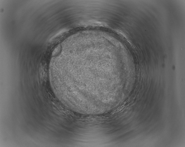 X0000067491063200604281511