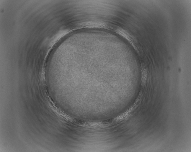 X0000067491074200604281511