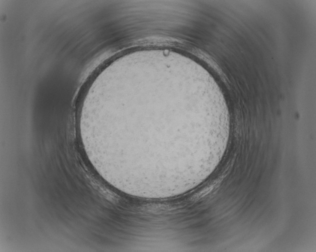 X0000067491075200604281511