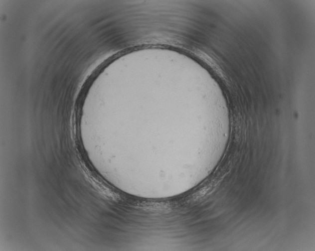 X0000067491076200604281511