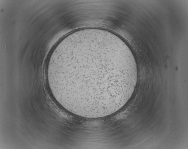 X0000067491078200604281511