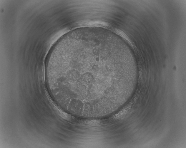 X0000067491079200604281511