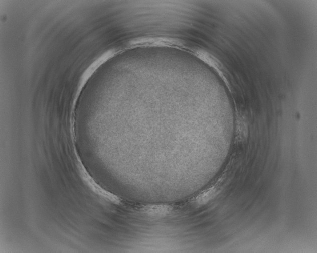X0000067491090200604281511