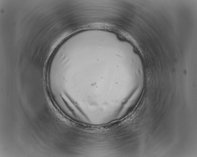 X0000067491091200604281511