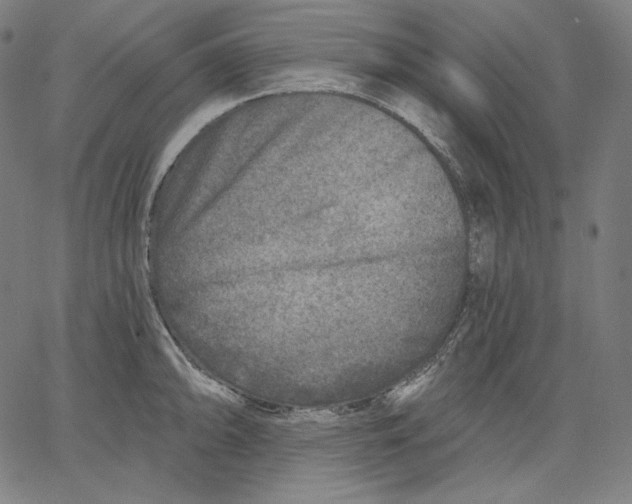 X0000067491094200604281511